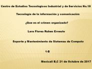 crimen organizado