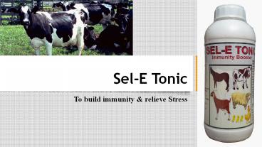 Cattle vitamins in India with best result