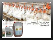 Poultry health tonic in India