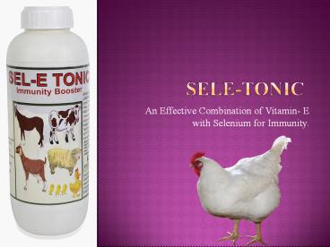 Poultry growth promoter in India