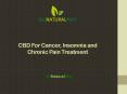 CBD For Cancer, Insomnia and Chronic Pain Treatment PowerPoint PPT Presentation