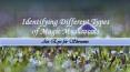 Identifying Different Types of Magic Mushrooms PowerPoint PPT Presentation