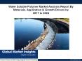 Water Soluble Polymer Market demand fueled by Increasing automobile sales in BRICS nations PowerPoint PPT Presentation