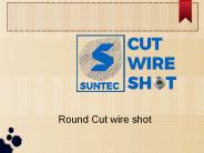 Round Cut wire shot