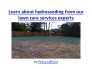 Learn about hydroseeding from our lawn care services experts