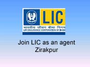 Join LIC as an agent Zirakpur (1)