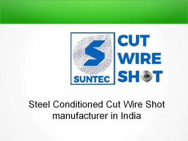 Steel Conditioned Cut Wire Shot manufacturer in India (2)