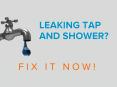 Leaking tap and shower are ruining your day? PowerPoint PPT Presentation