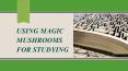Using Magic Mushrooms for Studying PowerPoint PPT Presentation