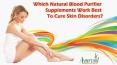 Which Natural Blood Purifier Supplements Work Best to Cure Skin Disorders? PowerPoint PPT Presentation