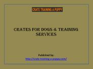 Crates for Dogs & Training Services