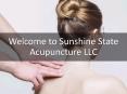 Information Presentation Of Sunshine State Acupuncture PowerPoint PPT Presentation