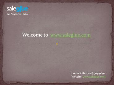 Get Sales Qualify Leads at Sale Glue