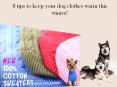 8 tips to keep your dog clothes warm this winter! PowerPoint PPT Presentation