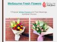 Winter Flowers in Australia and Their Meanings – Melbourne Fresh Flowers PowerPoint PPT Presentation