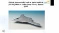 Global Unmanned Combat Aerial Vehicle (UCAV) Market Professional Survey Report 2017 PowerPoint PPT Presentation