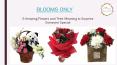 Flowers and Their Meaning to Surprise Someone Special – Blooms Only PowerPoint PPT Presentation
