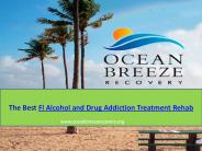 Fl Alcohol and Drug Addiction Treatment Rehab