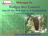 Best Pest Control Company Houston