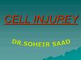 cell injury by prof. soheir saad PowerPoint PPT Presentation