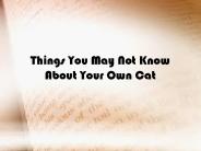 Things You May Not Know About Your Own Cat