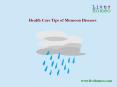 Health Care Tips of Monsoon Diseases PowerPoint PPT Presentation