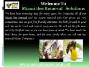 Bee Removal in Florida