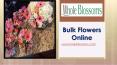 Bulk Flowers Online - www.wholeblossoms.com (1) PowerPoint PPT Presentation