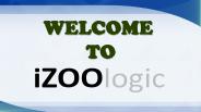 Cybercriminals | iZOO logic