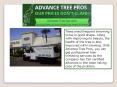Tree removal company orlando - Advance Tree Pros (1) PowerPoint PPT Presentation