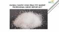 Global Caustic Soda Prills 99% Market Professional Survey Report 2017 PowerPoint PPT Presentation