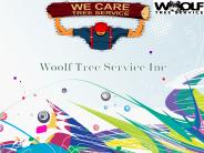Woolf Tree Service In Boise, Idaho