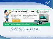 Fix WordPress Issues Only For $19