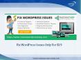 Fix WordPress Issues Only for $19 (1) PowerPoint PPT Presentation
