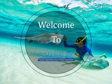 Cayman investment made easy with CEREBA