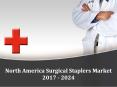 North America Surgical Staplers Market 2017 - 2024 PowerPoint PPT Presentation