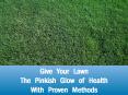 Give your lawn the pinkish glow of health with proven methods PowerPoint PPT Presentation