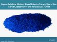 Global Copper Sulphate Market Share, Size, Price Trends and Forecast 2017-2022 PowerPoint PPT Presentation