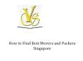 How To Find the Best Movers and Packers Singapore PowerPoint PPT Presentation