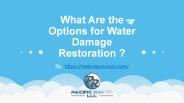 What Are the Options of Water Damage Restoration