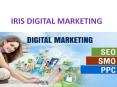 Search Engine Optimisation Training in Bangalore | Irisdigitalmarketing PowerPoint PPT Presentation