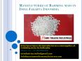 Manufacturer of Ramming mass in India Jakarta Indonesia PowerPoint PPT Presentation