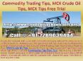 Commodity Trading Tips, MCX Crude Oil Tips, MCX Tips Free Trial Call @ +91-7289039404 PowerPoint PPT Presentation
