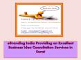 eBranding India Providing an Excellent Business Idea Consultation Services in Surat PowerPoint PPT Presentation