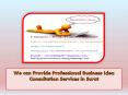 We can Provide Professional Business Idea Consultation Services in Surat PowerPoint PPT Presentation