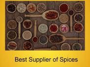 Best manufacturer of Masale (6)