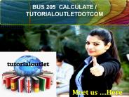 BUS 205  CALCULATE / TUTORIALOUTLETDOTCOM