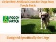 Order Best Artificial Grass for Dogs from Pooch Patch PowerPoint PPT Presentation