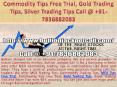 Commodity Tips Free Trial, Gold Trading Tips, Silver Trading Tips Call @ +91-7836882083 PowerPoint PPT Presentation