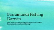 Barramundi Fishing